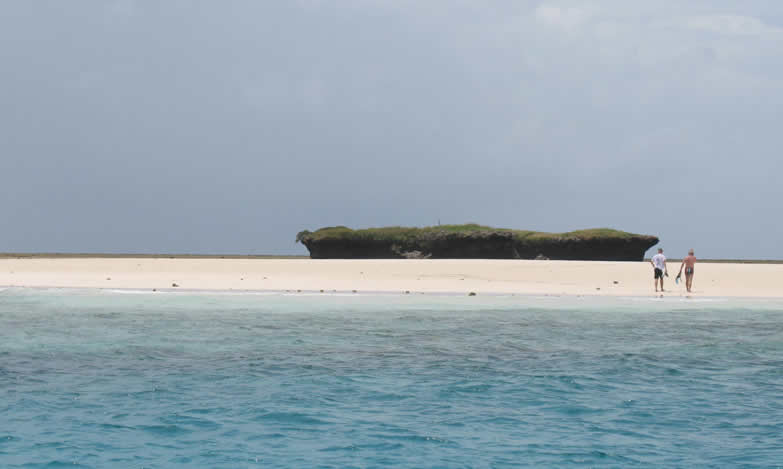 Read more about the article 1 Day Wasini Island