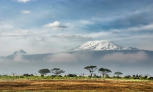 Read more about the article 10 Days Kenya Special Safari